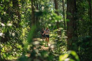 BIB: 
                            <button type="button" onclick="openModal(26626421)" class="btn btn-primary btn-sm float-right btn-popup" data-toggle="modal" data-target=".modal-high-quality">
                        <i class="fas fa-shopping-cart"></i> Add to Cart
                    </button>
                                            <button type="button" onclick="isThisMe(26626421, true)" class="btn btn-success btn-sm float-right btn-popup btn-isme hidden" data-toggle="tooltip" data-placement="bottom" title="นี่คือรูปของคุณใช่ไหม คลิกที่นี่เพื่อเอาเข้าอัลบั้ม">
                        <i class="fas fa-plus"></i> Add to album
                    </button>
                    <button type="button" onclick="isThisMe(26626421, false)" class="btn btn-warning btn-sm float-right btn-popup btn-isnotme hidden">
                        <i class="fas fa-ban"></i> Remove from album
                    </button>