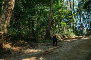 BIB: 
                            <button type="button" onclick="openModal(26625384)" class="btn btn-primary btn-sm float-right btn-popup" data-toggle="modal" data-target=".modal-high-quality">
                        <i class="fas fa-shopping-cart"></i> Add to Cart
                    </button>
                                            <button type="button" onclick="isThisMe(26625384, true)" class="btn btn-success btn-sm float-right btn-popup btn-isme hidden" data-toggle="tooltip" data-placement="bottom" title="นี่คือรูปของคุณใช่ไหม คลิกที่นี่เพื่อเอาเข้าอัลบั้ม">
                        <i class="fas fa-plus"></i> Add to album
                    </button>
                    <button type="button" onclick="isThisMe(26625384, false)" class="btn btn-warning btn-sm float-right btn-popup btn-isnotme hidden">
                        <i class="fas fa-ban"></i> Remove from album
                    </button>