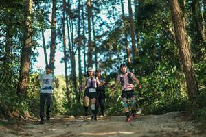 BIB: 
                            <button type="button" onclick="openModal(26629152)" class="btn btn-primary btn-sm float-right btn-popup" data-toggle="modal" data-target=".modal-high-quality">
                        <i class="fas fa-shopping-cart"></i> Add to Cart
                    </button>
                                            <button type="button" onclick="isThisMe(26629152, true)" class="btn btn-success btn-sm float-right btn-popup btn-isme hidden" data-toggle="tooltip" data-placement="bottom" title="นี่คือรูปของคุณใช่ไหม คลิกที่นี่เพื่อเอาเข้าอัลบั้ม">
                        <i class="fas fa-plus"></i> Add to album
                    </button>
                    <button type="button" onclick="isThisMe(26629152, false)" class="btn btn-warning btn-sm float-right btn-popup btn-isnotme hidden">
                        <i class="fas fa-ban"></i> Remove from album
                    </button>