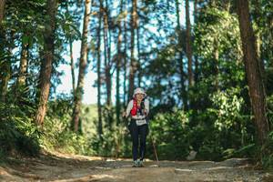 BIB: 
                            <button type="button" onclick="openModal(26627088)" class="btn btn-primary btn-sm float-right btn-popup" data-toggle="modal" data-target=".modal-high-quality">
                        <i class="fas fa-shopping-cart"></i> Add to Cart
                    </button>
                                            <button type="button" onclick="isThisMe(26627088, true)" class="btn btn-success btn-sm float-right btn-popup btn-isme hidden" data-toggle="tooltip" data-placement="bottom" title="นี่คือรูปของคุณใช่ไหม คลิกที่นี่เพื่อเอาเข้าอัลบั้ม">
                        <i class="fas fa-plus"></i> Add to album
                    </button>
                    <button type="button" onclick="isThisMe(26627088, false)" class="btn btn-warning btn-sm float-right btn-popup btn-isnotme hidden">
                        <i class="fas fa-ban"></i> Remove from album
                    </button>