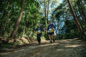 BIB: 
                            <button type="button" onclick="openModal(26625226)" class="btn btn-primary btn-sm float-right btn-popup" data-toggle="modal" data-target=".modal-high-quality">
                        <i class="fas fa-shopping-cart"></i> Add to Cart
                    </button>
                                            <button type="button" onclick="isThisMe(26625226, true)" class="btn btn-success btn-sm float-right btn-popup btn-isme hidden" data-toggle="tooltip" data-placement="bottom" title="นี่คือรูปของคุณใช่ไหม คลิกที่นี่เพื่อเอาเข้าอัลบั้ม">
                        <i class="fas fa-plus"></i> Add to album
                    </button>
                    <button type="button" onclick="isThisMe(26625226, false)" class="btn btn-warning btn-sm float-right btn-popup btn-isnotme hidden">
                        <i class="fas fa-ban"></i> Remove from album
                    </button>