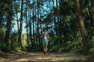 BIB: 
                            <button type="button" onclick="openModal(26628575)" class="btn btn-primary btn-sm float-right btn-popup" data-toggle="modal" data-target=".modal-high-quality">
                        <i class="fas fa-shopping-cart"></i> Add to Cart
                    </button>
                                            <button type="button" onclick="isThisMe(26628575, true)" class="btn btn-success btn-sm float-right btn-popup btn-isme hidden" data-toggle="tooltip" data-placement="bottom" title="นี่คือรูปของคุณใช่ไหม คลิกที่นี่เพื่อเอาเข้าอัลบั้ม">
                        <i class="fas fa-plus"></i> Add to album
                    </button>
                    <button type="button" onclick="isThisMe(26628575, false)" class="btn btn-warning btn-sm float-right btn-popup btn-isnotme hidden">
                        <i class="fas fa-ban"></i> Remove from album
                    </button>