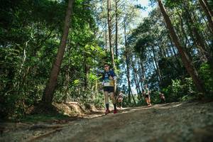 BIB: 
                            <button type="button" onclick="openModal(26625365)" class="btn btn-primary btn-sm float-right btn-popup" data-toggle="modal" data-target=".modal-high-quality">
                        <i class="fas fa-shopping-cart"></i> Add to Cart
                    </button>
                                            <button type="button" onclick="isThisMe(26625365, true)" class="btn btn-success btn-sm float-right btn-popup btn-isme hidden" data-toggle="tooltip" data-placement="bottom" title="นี่คือรูปของคุณใช่ไหม คลิกที่นี่เพื่อเอาเข้าอัลบั้ม">
                        <i class="fas fa-plus"></i> Add to album
                    </button>
                    <button type="button" onclick="isThisMe(26625365, false)" class="btn btn-warning btn-sm float-right btn-popup btn-isnotme hidden">
                        <i class="fas fa-ban"></i> Remove from album
                    </button>