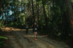 BIB: 
                            <button type="button" onclick="openModal(26626971)" class="btn btn-primary btn-sm float-right btn-popup" data-toggle="modal" data-target=".modal-high-quality">
                        <i class="fas fa-shopping-cart"></i> Add to Cart
                    </button>
                                            <button type="button" onclick="isThisMe(26626971, true)" class="btn btn-success btn-sm float-right btn-popup btn-isme hidden" data-toggle="tooltip" data-placement="bottom" title="นี่คือรูปของคุณใช่ไหม คลิกที่นี่เพื่อเอาเข้าอัลบั้ม">
                        <i class="fas fa-plus"></i> Add to album
                    </button>
                    <button type="button" onclick="isThisMe(26626971, false)" class="btn btn-warning btn-sm float-right btn-popup btn-isnotme hidden">
                        <i class="fas fa-ban"></i> Remove from album
                    </button>