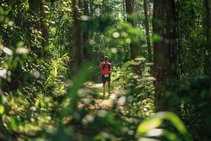 BIB: 
                            <button type="button" onclick="openModal(26626426)" class="btn btn-primary btn-sm float-right btn-popup" data-toggle="modal" data-target=".modal-high-quality">
                        <i class="fas fa-shopping-cart"></i> Add to Cart
                    </button>
                                            <button type="button" onclick="isThisMe(26626426, true)" class="btn btn-success btn-sm float-right btn-popup btn-isme hidden" data-toggle="tooltip" data-placement="bottom" title="นี่คือรูปของคุณใช่ไหม คลิกที่นี่เพื่อเอาเข้าอัลบั้ม">
                        <i class="fas fa-plus"></i> Add to album
                    </button>
                    <button type="button" onclick="isThisMe(26626426, false)" class="btn btn-warning btn-sm float-right btn-popup btn-isnotme hidden">
                        <i class="fas fa-ban"></i> Remove from album
                    </button>