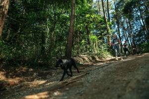 BIB: 
                            <button type="button" onclick="openModal(26625390)" class="btn btn-primary btn-sm float-right btn-popup" data-toggle="modal" data-target=".modal-high-quality">
                        <i class="fas fa-shopping-cart"></i> Add to Cart
                    </button>
                                            <button type="button" onclick="isThisMe(26625390, true)" class="btn btn-success btn-sm float-right btn-popup btn-isme hidden" data-toggle="tooltip" data-placement="bottom" title="นี่คือรูปของคุณใช่ไหม คลิกที่นี่เพื่อเอาเข้าอัลบั้ม">
                        <i class="fas fa-plus"></i> Add to album
                    </button>
                    <button type="button" onclick="isThisMe(26625390, false)" class="btn btn-warning btn-sm float-right btn-popup btn-isnotme hidden">
                        <i class="fas fa-ban"></i> Remove from album
                    </button>