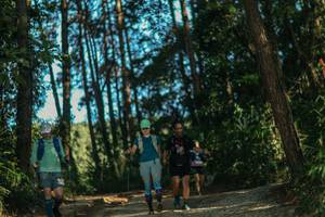 BIB: 
                            <button type="button" onclick="openModal(26628470)" class="btn btn-primary btn-sm float-right btn-popup" data-toggle="modal" data-target=".modal-high-quality">
                        <i class="fas fa-shopping-cart"></i> Add to Cart
                    </button>
                                            <button type="button" onclick="isThisMe(26628470, true)" class="btn btn-success btn-sm float-right btn-popup btn-isme hidden" data-toggle="tooltip" data-placement="bottom" title="นี่คือรูปของคุณใช่ไหม คลิกที่นี่เพื่อเอาเข้าอัลบั้ม">
                        <i class="fas fa-plus"></i> Add to album
                    </button>
                    <button type="button" onclick="isThisMe(26628470, false)" class="btn btn-warning btn-sm float-right btn-popup btn-isnotme hidden">
                        <i class="fas fa-ban"></i> Remove from album
                    </button>