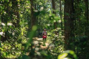 BIB: 
                            <button type="button" onclick="openModal(26626412)" class="btn btn-primary btn-sm float-right btn-popup" data-toggle="modal" data-target=".modal-high-quality">
                        <i class="fas fa-shopping-cart"></i> Add to Cart
                    </button>
                                            <button type="button" onclick="isThisMe(26626412, true)" class="btn btn-success btn-sm float-right btn-popup btn-isme hidden" data-toggle="tooltip" data-placement="bottom" title="นี่คือรูปของคุณใช่ไหม คลิกที่นี่เพื่อเอาเข้าอัลบั้ม">
                        <i class="fas fa-plus"></i> Add to album
                    </button>
                    <button type="button" onclick="isThisMe(26626412, false)" class="btn btn-warning btn-sm float-right btn-popup btn-isnotme hidden">
                        <i class="fas fa-ban"></i> Remove from album
                    </button>