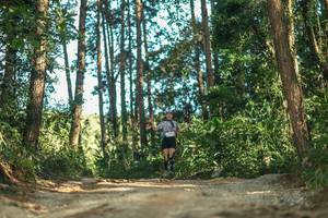 BIB: 
                            <button type="button" onclick="openModal(26629026)" class="btn btn-primary btn-sm float-right btn-popup" data-toggle="modal" data-target=".modal-high-quality">
                        <i class="fas fa-shopping-cart"></i> Add to Cart
                    </button>
                                            <button type="button" onclick="isThisMe(26629026, true)" class="btn btn-success btn-sm float-right btn-popup btn-isme hidden" data-toggle="tooltip" data-placement="bottom" title="นี่คือรูปของคุณใช่ไหม คลิกที่นี่เพื่อเอาเข้าอัลบั้ม">
                        <i class="fas fa-plus"></i> Add to album
                    </button>
                    <button type="button" onclick="isThisMe(26629026, false)" class="btn btn-warning btn-sm float-right btn-popup btn-isnotme hidden">
                        <i class="fas fa-ban"></i> Remove from album
                    </button>