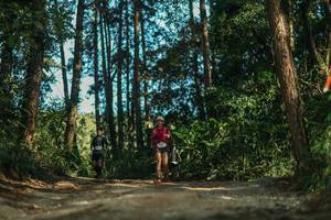 BIB: 
                            <button type="button" onclick="openModal(26628837)" class="btn btn-primary btn-sm float-right btn-popup" data-toggle="modal" data-target=".modal-high-quality">
                        <i class="fas fa-shopping-cart"></i> Add to Cart
                    </button>
                                            <button type="button" onclick="isThisMe(26628837, true)" class="btn btn-success btn-sm float-right btn-popup btn-isme hidden" data-toggle="tooltip" data-placement="bottom" title="นี่คือรูปของคุณใช่ไหม คลิกที่นี่เพื่อเอาเข้าอัลบั้ม">
                        <i class="fas fa-plus"></i> Add to album
                    </button>
                    <button type="button" onclick="isThisMe(26628837, false)" class="btn btn-warning btn-sm float-right btn-popup btn-isnotme hidden">
                        <i class="fas fa-ban"></i> Remove from album
                    </button>