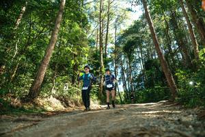 BIB: 
                            <button type="button" onclick="openModal(26625178)" class="btn btn-primary btn-sm float-right btn-popup" data-toggle="modal" data-target=".modal-high-quality">
                        <i class="fas fa-shopping-cart"></i> Add to Cart
                    </button>
                                            <button type="button" onclick="isThisMe(26625178, true)" class="btn btn-success btn-sm float-right btn-popup btn-isme hidden" data-toggle="tooltip" data-placement="bottom" title="นี่คือรูปของคุณใช่ไหม คลิกที่นี่เพื่อเอาเข้าอัลบั้ม">
                        <i class="fas fa-plus"></i> Add to album
                    </button>
                    <button type="button" onclick="isThisMe(26625178, false)" class="btn btn-warning btn-sm float-right btn-popup btn-isnotme hidden">
                        <i class="fas fa-ban"></i> Remove from album
                    </button>