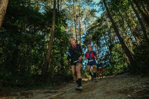 BIB: 
                            <button type="button" onclick="openModal(26626788)" class="btn btn-primary btn-sm float-right btn-popup" data-toggle="modal" data-target=".modal-high-quality">
                        <i class="fas fa-shopping-cart"></i> Add to Cart
                    </button>
                                            <button type="button" onclick="isThisMe(26626788, true)" class="btn btn-success btn-sm float-right btn-popup btn-isme hidden" data-toggle="tooltip" data-placement="bottom" title="นี่คือรูปของคุณใช่ไหม คลิกที่นี่เพื่อเอาเข้าอัลบั้ม">
                        <i class="fas fa-plus"></i> Add to album
                    </button>
                    <button type="button" onclick="isThisMe(26626788, false)" class="btn btn-warning btn-sm float-right btn-popup btn-isnotme hidden">
                        <i class="fas fa-ban"></i> Remove from album
                    </button>