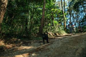 BIB: 
                            <button type="button" onclick="openModal(26625388)" class="btn btn-primary btn-sm float-right btn-popup" data-toggle="modal" data-target=".modal-high-quality">
                        <i class="fas fa-shopping-cart"></i> Add to Cart
                    </button>
                                            <button type="button" onclick="isThisMe(26625388, true)" class="btn btn-success btn-sm float-right btn-popup btn-isme hidden" data-toggle="tooltip" data-placement="bottom" title="นี่คือรูปของคุณใช่ไหม คลิกที่นี่เพื่อเอาเข้าอัลบั้ม">
                        <i class="fas fa-plus"></i> Add to album
                    </button>
                    <button type="button" onclick="isThisMe(26625388, false)" class="btn btn-warning btn-sm float-right btn-popup btn-isnotme hidden">
                        <i class="fas fa-ban"></i> Remove from album
                    </button>