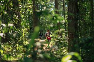 BIB: 
                            <button type="button" onclick="openModal(26626417)" class="btn btn-primary btn-sm float-right btn-popup" data-toggle="modal" data-target=".modal-high-quality">
                        <i class="fas fa-shopping-cart"></i> Add to Cart
                    </button>
                                            <button type="button" onclick="isThisMe(26626417, true)" class="btn btn-success btn-sm float-right btn-popup btn-isme hidden" data-toggle="tooltip" data-placement="bottom" title="นี่คือรูปของคุณใช่ไหม คลิกที่นี่เพื่อเอาเข้าอัลบั้ม">
                        <i class="fas fa-plus"></i> Add to album
                    </button>
                    <button type="button" onclick="isThisMe(26626417, false)" class="btn btn-warning btn-sm float-right btn-popup btn-isnotme hidden">
                        <i class="fas fa-ban"></i> Remove from album
                    </button>