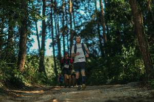 BIB: 
                            <button type="button" onclick="openModal(26628357)" class="btn btn-primary btn-sm float-right btn-popup" data-toggle="modal" data-target=".modal-high-quality">
                        <i class="fas fa-shopping-cart"></i> Add to Cart
                    </button>
                                            <button type="button" onclick="isThisMe(26628357, true)" class="btn btn-success btn-sm float-right btn-popup btn-isme hidden" data-toggle="tooltip" data-placement="bottom" title="นี่คือรูปของคุณใช่ไหม คลิกที่นี่เพื่อเอาเข้าอัลบั้ม">
                        <i class="fas fa-plus"></i> Add to album
                    </button>
                    <button type="button" onclick="isThisMe(26628357, false)" class="btn btn-warning btn-sm float-right btn-popup btn-isnotme hidden">
                        <i class="fas fa-ban"></i> Remove from album
                    </button>