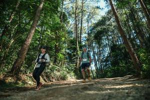 BIB: 
                            <button type="button" onclick="openModal(26625202)" class="btn btn-primary btn-sm float-right btn-popup" data-toggle="modal" data-target=".modal-high-quality">
                        <i class="fas fa-shopping-cart"></i> Add to Cart
                    </button>
                                            <button type="button" onclick="isThisMe(26625202, true)" class="btn btn-success btn-sm float-right btn-popup btn-isme hidden" data-toggle="tooltip" data-placement="bottom" title="นี่คือรูปของคุณใช่ไหม คลิกที่นี่เพื่อเอาเข้าอัลบั้ม">
                        <i class="fas fa-plus"></i> Add to album
                    </button>
                    <button type="button" onclick="isThisMe(26625202, false)" class="btn btn-warning btn-sm float-right btn-popup btn-isnotme hidden">
                        <i class="fas fa-ban"></i> Remove from album
                    </button>