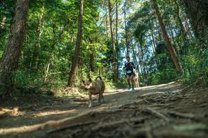 BIB: 
                            <button type="button" onclick="openModal(26625076)" class="btn btn-primary btn-sm float-right btn-popup" data-toggle="modal" data-target=".modal-high-quality">
                        <i class="fas fa-shopping-cart"></i> Add to Cart
                    </button>
                                            <button type="button" onclick="isThisMe(26625076, true)" class="btn btn-success btn-sm float-right btn-popup btn-isme hidden" data-toggle="tooltip" data-placement="bottom" title="นี่คือรูปของคุณใช่ไหม คลิกที่นี่เพื่อเอาเข้าอัลบั้ม">
                        <i class="fas fa-plus"></i> Add to album
                    </button>
                    <button type="button" onclick="isThisMe(26625076, false)" class="btn btn-warning btn-sm float-right btn-popup btn-isnotme hidden">
                        <i class="fas fa-ban"></i> Remove from album
                    </button>