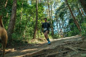 BIB: 
                            <button type="button" onclick="openModal(26625079)" class="btn btn-primary btn-sm float-right btn-popup" data-toggle="modal" data-target=".modal-high-quality">
                        <i class="fas fa-shopping-cart"></i> Add to Cart
                    </button>
                                            <button type="button" onclick="isThisMe(26625079, true)" class="btn btn-success btn-sm float-right btn-popup btn-isme hidden" data-toggle="tooltip" data-placement="bottom" title="นี่คือรูปของคุณใช่ไหม คลิกที่นี่เพื่อเอาเข้าอัลบั้ม">
                        <i class="fas fa-plus"></i> Add to album
                    </button>
                    <button type="button" onclick="isThisMe(26625079, false)" class="btn btn-warning btn-sm float-right btn-popup btn-isnotme hidden">
                        <i class="fas fa-ban"></i> Remove from album
                    </button>