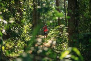 BIB: 
                            <button type="button" onclick="openModal(26626431)" class="btn btn-primary btn-sm float-right btn-popup" data-toggle="modal" data-target=".modal-high-quality">
                        <i class="fas fa-shopping-cart"></i> Add to Cart
                    </button>
                                            <button type="button" onclick="isThisMe(26626431, true)" class="btn btn-success btn-sm float-right btn-popup btn-isme hidden" data-toggle="tooltip" data-placement="bottom" title="นี่คือรูปของคุณใช่ไหม คลิกที่นี่เพื่อเอาเข้าอัลบั้ม">
                        <i class="fas fa-plus"></i> Add to album
                    </button>
                    <button type="button" onclick="isThisMe(26626431, false)" class="btn btn-warning btn-sm float-right btn-popup btn-isnotme hidden">
                        <i class="fas fa-ban"></i> Remove from album
                    </button>