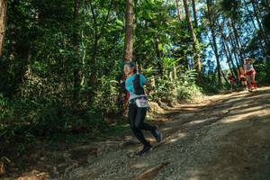 BIB: 
                            <button type="button" onclick="openModal(26625280)" class="btn btn-primary btn-sm float-right btn-popup" data-toggle="modal" data-target=".modal-high-quality">
                        <i class="fas fa-shopping-cart"></i> Add to Cart
                    </button>
                                            <button type="button" onclick="isThisMe(26625280, true)" class="btn btn-success btn-sm float-right btn-popup btn-isme hidden" data-toggle="tooltip" data-placement="bottom" title="นี่คือรูปของคุณใช่ไหม คลิกที่นี่เพื่อเอาเข้าอัลบั้ม">
                        <i class="fas fa-plus"></i> Add to album
                    </button>
                    <button type="button" onclick="isThisMe(26625280, false)" class="btn btn-warning btn-sm float-right btn-popup btn-isnotme hidden">
                        <i class="fas fa-ban"></i> Remove from album
                    </button>