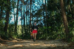 BIB: 
                            <button type="button" onclick="openModal(26628564)" class="btn btn-primary btn-sm float-right btn-popup" data-toggle="modal" data-target=".modal-high-quality">
                        <i class="fas fa-shopping-cart"></i> Add to Cart
                    </button>
                                            <button type="button" onclick="isThisMe(26628564, true)" class="btn btn-success btn-sm float-right btn-popup btn-isme hidden" data-toggle="tooltip" data-placement="bottom" title="นี่คือรูปของคุณใช่ไหม คลิกที่นี่เพื่อเอาเข้าอัลบั้ม">
                        <i class="fas fa-plus"></i> Add to album
                    </button>
                    <button type="button" onclick="isThisMe(26628564, false)" class="btn btn-warning btn-sm float-right btn-popup btn-isnotme hidden">
                        <i class="fas fa-ban"></i> Remove from album
                    </button>