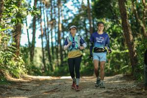 BIB: 
                            <button type="button" onclick="openModal(26625691)" class="btn btn-primary btn-sm float-right btn-popup" data-toggle="modal" data-target=".modal-high-quality">
                        <i class="fas fa-shopping-cart"></i> Add to Cart
                    </button>
                                            <button type="button" onclick="isThisMe(26625691, true)" class="btn btn-success btn-sm float-right btn-popup btn-isme hidden" data-toggle="tooltip" data-placement="bottom" title="นี่คือรูปของคุณใช่ไหม คลิกที่นี่เพื่อเอาเข้าอัลบั้ม">
                        <i class="fas fa-plus"></i> Add to album
                    </button>
                    <button type="button" onclick="isThisMe(26625691, false)" class="btn btn-warning btn-sm float-right btn-popup btn-isnotme hidden">
                        <i class="fas fa-ban"></i> Remove from album
                    </button>