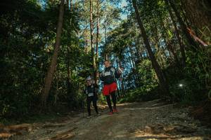 BIB: 
                            <button type="button" onclick="openModal(26626946)" class="btn btn-primary btn-sm float-right btn-popup" data-toggle="modal" data-target=".modal-high-quality">
                        <i class="fas fa-shopping-cart"></i> Add to Cart
                    </button>
                                            <button type="button" onclick="isThisMe(26626946, true)" class="btn btn-success btn-sm float-right btn-popup btn-isme hidden" data-toggle="tooltip" data-placement="bottom" title="นี่คือรูปของคุณใช่ไหม คลิกที่นี่เพื่อเอาเข้าอัลบั้ม">
                        <i class="fas fa-plus"></i> Add to album
                    </button>
                    <button type="button" onclick="isThisMe(26626946, false)" class="btn btn-warning btn-sm float-right btn-popup btn-isnotme hidden">
                        <i class="fas fa-ban"></i> Remove from album
                    </button>