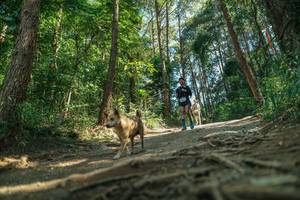 BIB: 
                            <button type="button" onclick="openModal(26625082)" class="btn btn-primary btn-sm float-right btn-popup" data-toggle="modal" data-target=".modal-high-quality">
                        <i class="fas fa-shopping-cart"></i> Add to Cart
                    </button>
                                            <button type="button" onclick="isThisMe(26625082, true)" class="btn btn-success btn-sm float-right btn-popup btn-isme hidden" data-toggle="tooltip" data-placement="bottom" title="นี่คือรูปของคุณใช่ไหม คลิกที่นี่เพื่อเอาเข้าอัลบั้ม">
                        <i class="fas fa-plus"></i> Add to album
                    </button>
                    <button type="button" onclick="isThisMe(26625082, false)" class="btn btn-warning btn-sm float-right btn-popup btn-isnotme hidden">
                        <i class="fas fa-ban"></i> Remove from album
                    </button>