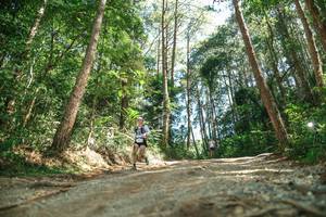 BIB: 
                            <button type="button" onclick="openModal(26625181)" class="btn btn-primary btn-sm float-right btn-popup" data-toggle="modal" data-target=".modal-high-quality">
                        <i class="fas fa-shopping-cart"></i> Add to Cart
                    </button>
                                            <button type="button" onclick="isThisMe(26625181, true)" class="btn btn-success btn-sm float-right btn-popup btn-isme hidden" data-toggle="tooltip" data-placement="bottom" title="นี่คือรูปของคุณใช่ไหม คลิกที่นี่เพื่อเอาเข้าอัลบั้ม">
                        <i class="fas fa-plus"></i> Add to album
                    </button>
                    <button type="button" onclick="isThisMe(26625181, false)" class="btn btn-warning btn-sm float-right btn-popup btn-isnotme hidden">
                        <i class="fas fa-ban"></i> Remove from album
                    </button>