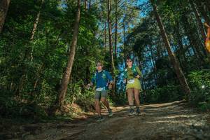 BIB: 
                            <button type="button" onclick="openModal(26625111)" class="btn btn-primary btn-sm float-right btn-popup" data-toggle="modal" data-target=".modal-high-quality">
                        <i class="fas fa-shopping-cart"></i> Add to Cart
                    </button>
                                            <button type="button" onclick="isThisMe(26625111, true)" class="btn btn-success btn-sm float-right btn-popup btn-isme hidden" data-toggle="tooltip" data-placement="bottom" title="นี่คือรูปของคุณใช่ไหม คลิกที่นี่เพื่อเอาเข้าอัลบั้ม">
                        <i class="fas fa-plus"></i> Add to album
                    </button>
                    <button type="button" onclick="isThisMe(26625111, false)" class="btn btn-warning btn-sm float-right btn-popup btn-isnotme hidden">
                        <i class="fas fa-ban"></i> Remove from album
                    </button>