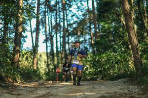 BIB: 
                            <button type="button" onclick="openModal(26629076)" class="btn btn-primary btn-sm float-right btn-popup" data-toggle="modal" data-target=".modal-high-quality">
                        <i class="fas fa-shopping-cart"></i> Add to Cart
                    </button>
                                            <button type="button" onclick="isThisMe(26629076, true)" class="btn btn-success btn-sm float-right btn-popup btn-isme hidden" data-toggle="tooltip" data-placement="bottom" title="นี่คือรูปของคุณใช่ไหม คลิกที่นี่เพื่อเอาเข้าอัลบั้ม">
                        <i class="fas fa-plus"></i> Add to album
                    </button>
                    <button type="button" onclick="isThisMe(26629076, false)" class="btn btn-warning btn-sm float-right btn-popup btn-isnotme hidden">
                        <i class="fas fa-ban"></i> Remove from album
                    </button>