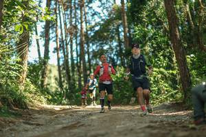 BIB: 
                            <button type="button" onclick="openModal(26626049)" class="btn btn-primary btn-sm float-right btn-popup" data-toggle="modal" data-target=".modal-high-quality">
                        <i class="fas fa-shopping-cart"></i> Add to Cart
                    </button>
                                            <button type="button" onclick="isThisMe(26626049, true)" class="btn btn-success btn-sm float-right btn-popup btn-isme hidden" data-toggle="tooltip" data-placement="bottom" title="นี่คือรูปของคุณใช่ไหม คลิกที่นี่เพื่อเอาเข้าอัลบั้ม">
                        <i class="fas fa-plus"></i> Add to album
                    </button>
                    <button type="button" onclick="isThisMe(26626049, false)" class="btn btn-warning btn-sm float-right btn-popup btn-isnotme hidden">
                        <i class="fas fa-ban"></i> Remove from album
                    </button>