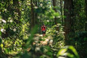 BIB: 
                            <button type="button" onclick="openModal(26626424)" class="btn btn-primary btn-sm float-right btn-popup" data-toggle="modal" data-target=".modal-high-quality">
                        <i class="fas fa-shopping-cart"></i> Add to Cart
                    </button>
                                            <button type="button" onclick="isThisMe(26626424, true)" class="btn btn-success btn-sm float-right btn-popup btn-isme hidden" data-toggle="tooltip" data-placement="bottom" title="นี่คือรูปของคุณใช่ไหม คลิกที่นี่เพื่อเอาเข้าอัลบั้ม">
                        <i class="fas fa-plus"></i> Add to album
                    </button>
                    <button type="button" onclick="isThisMe(26626424, false)" class="btn btn-warning btn-sm float-right btn-popup btn-isnotme hidden">
                        <i class="fas fa-ban"></i> Remove from album
                    </button>