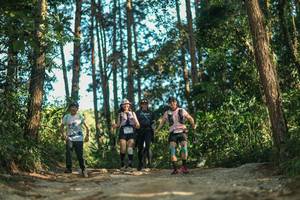 BIB: 
                            <button type="button" onclick="openModal(26629146)" class="btn btn-primary btn-sm float-right btn-popup" data-toggle="modal" data-target=".modal-high-quality">
                        <i class="fas fa-shopping-cart"></i> Add to Cart
                    </button>
                                            <button type="button" onclick="isThisMe(26629146, true)" class="btn btn-success btn-sm float-right btn-popup btn-isme hidden" data-toggle="tooltip" data-placement="bottom" title="นี่คือรูปของคุณใช่ไหม คลิกที่นี่เพื่อเอาเข้าอัลบั้ม">
                        <i class="fas fa-plus"></i> Add to album
                    </button>
                    <button type="button" onclick="isThisMe(26629146, false)" class="btn btn-warning btn-sm float-right btn-popup btn-isnotme hidden">
                        <i class="fas fa-ban"></i> Remove from album
                    </button>