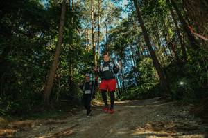 BIB: 
                            <button type="button" onclick="openModal(26626948)" class="btn btn-primary btn-sm float-right btn-popup" data-toggle="modal" data-target=".modal-high-quality">
                        <i class="fas fa-shopping-cart"></i> Add to Cart
                    </button>
                                            <button type="button" onclick="isThisMe(26626948, true)" class="btn btn-success btn-sm float-right btn-popup btn-isme hidden" data-toggle="tooltip" data-placement="bottom" title="นี่คือรูปของคุณใช่ไหม คลิกที่นี่เพื่อเอาเข้าอัลบั้ม">
                        <i class="fas fa-plus"></i> Add to album
                    </button>
                    <button type="button" onclick="isThisMe(26626948, false)" class="btn btn-warning btn-sm float-right btn-popup btn-isnotme hidden">
                        <i class="fas fa-ban"></i> Remove from album
                    </button>