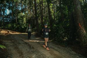 BIB: 
                            <button type="button" onclick="openModal(26626981)" class="btn btn-primary btn-sm float-right btn-popup" data-toggle="modal" data-target=".modal-high-quality">
                        <i class="fas fa-shopping-cart"></i> Add to Cart
                    </button>
                                            <button type="button" onclick="isThisMe(26626981, true)" class="btn btn-success btn-sm float-right btn-popup btn-isme hidden" data-toggle="tooltip" data-placement="bottom" title="นี่คือรูปของคุณใช่ไหม คลิกที่นี่เพื่อเอาเข้าอัลบั้ม">
                        <i class="fas fa-plus"></i> Add to album
                    </button>
                    <button type="button" onclick="isThisMe(26626981, false)" class="btn btn-warning btn-sm float-right btn-popup btn-isnotme hidden">
                        <i class="fas fa-ban"></i> Remove from album
                    </button>