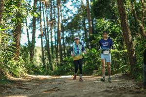 BIB: 
                            <button type="button" onclick="openModal(26625685)" class="btn btn-primary btn-sm float-right btn-popup" data-toggle="modal" data-target=".modal-high-quality">
                        <i class="fas fa-shopping-cart"></i> Add to Cart
                    </button>
                                            <button type="button" onclick="isThisMe(26625685, true)" class="btn btn-success btn-sm float-right btn-popup btn-isme hidden" data-toggle="tooltip" data-placement="bottom" title="นี่คือรูปของคุณใช่ไหม คลิกที่นี่เพื่อเอาเข้าอัลบั้ม">
                        <i class="fas fa-plus"></i> Add to album
                    </button>
                    <button type="button" onclick="isThisMe(26625685, false)" class="btn btn-warning btn-sm float-right btn-popup btn-isnotme hidden">
                        <i class="fas fa-ban"></i> Remove from album
                    </button>