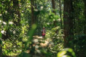 BIB: 
                            <button type="button" onclick="openModal(26626410)" class="btn btn-primary btn-sm float-right btn-popup" data-toggle="modal" data-target=".modal-high-quality">
                        <i class="fas fa-shopping-cart"></i> Add to Cart
                    </button>
                                            <button type="button" onclick="isThisMe(26626410, true)" class="btn btn-success btn-sm float-right btn-popup btn-isme hidden" data-toggle="tooltip" data-placement="bottom" title="นี่คือรูปของคุณใช่ไหม คลิกที่นี่เพื่อเอาเข้าอัลบั้ม">
                        <i class="fas fa-plus"></i> Add to album
                    </button>
                    <button type="button" onclick="isThisMe(26626410, false)" class="btn btn-warning btn-sm float-right btn-popup btn-isnotme hidden">
                        <i class="fas fa-ban"></i> Remove from album
                    </button>