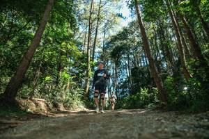 BIB: 
                            <button type="button" onclick="openModal(26625347)" class="btn btn-primary btn-sm float-right btn-popup" data-toggle="modal" data-target=".modal-high-quality">
                        <i class="fas fa-shopping-cart"></i> Add to Cart
                    </button>
                                            <button type="button" onclick="isThisMe(26625347, true)" class="btn btn-success btn-sm float-right btn-popup btn-isme hidden" data-toggle="tooltip" data-placement="bottom" title="นี่คือรูปของคุณใช่ไหม คลิกที่นี่เพื่อเอาเข้าอัลบั้ม">
                        <i class="fas fa-plus"></i> Add to album
                    </button>
                    <button type="button" onclick="isThisMe(26625347, false)" class="btn btn-warning btn-sm float-right btn-popup btn-isnotme hidden">
                        <i class="fas fa-ban"></i> Remove from album
                    </button>