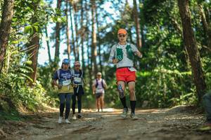 BIB: 
                            <button type="button" onclick="openModal(26625753)" class="btn btn-primary btn-sm float-right btn-popup" data-toggle="modal" data-target=".modal-high-quality">
                        <i class="fas fa-shopping-cart"></i> Add to Cart
                    </button>
                                            <button type="button" onclick="isThisMe(26625753, true)" class="btn btn-success btn-sm float-right btn-popup btn-isme hidden" data-toggle="tooltip" data-placement="bottom" title="นี่คือรูปของคุณใช่ไหม คลิกที่นี่เพื่อเอาเข้าอัลบั้ม">
                        <i class="fas fa-plus"></i> Add to album
                    </button>
                    <button type="button" onclick="isThisMe(26625753, false)" class="btn btn-warning btn-sm float-right btn-popup btn-isnotme hidden">
                        <i class="fas fa-ban"></i> Remove from album
                    </button>