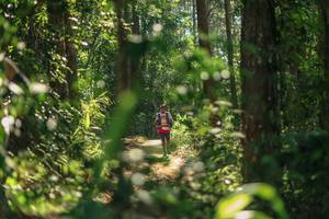 BIB: 
                            <button type="button" onclick="openModal(26626405)" class="btn btn-primary btn-sm float-right btn-popup" data-toggle="modal" data-target=".modal-high-quality">
                        <i class="fas fa-shopping-cart"></i> Add to Cart
                    </button>
                                            <button type="button" onclick="isThisMe(26626405, true)" class="btn btn-success btn-sm float-right btn-popup btn-isme hidden" data-toggle="tooltip" data-placement="bottom" title="นี่คือรูปของคุณใช่ไหม คลิกที่นี่เพื่อเอาเข้าอัลบั้ม">
                        <i class="fas fa-plus"></i> Add to album
                    </button>
                    <button type="button" onclick="isThisMe(26626405, false)" class="btn btn-warning btn-sm float-right btn-popup btn-isnotme hidden">
                        <i class="fas fa-ban"></i> Remove from album
                    </button>