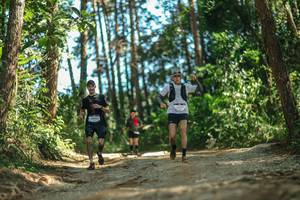 BIB: 
                            <button type="button" onclick="openModal(26625579)" class="btn btn-primary btn-sm float-right btn-popup" data-toggle="modal" data-target=".modal-high-quality">
                        <i class="fas fa-shopping-cart"></i> Add to Cart
                    </button>
                                            <button type="button" onclick="isThisMe(26625579, true)" class="btn btn-success btn-sm float-right btn-popup btn-isme hidden" data-toggle="tooltip" data-placement="bottom" title="นี่คือรูปของคุณใช่ไหม คลิกที่นี่เพื่อเอาเข้าอัลบั้ม">
                        <i class="fas fa-plus"></i> Add to album
                    </button>
                    <button type="button" onclick="isThisMe(26625579, false)" class="btn btn-warning btn-sm float-right btn-popup btn-isnotme hidden">
                        <i class="fas fa-ban"></i> Remove from album
                    </button>