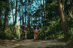 BIB: 
                            <button type="button" onclick="openModal(26628817)" class="btn btn-primary btn-sm float-right btn-popup" data-toggle="modal" data-target=".modal-high-quality">
                        <i class="fas fa-shopping-cart"></i> Add to Cart
                    </button>
                                            <button type="button" onclick="isThisMe(26628817, true)" class="btn btn-success btn-sm float-right btn-popup btn-isme hidden" data-toggle="tooltip" data-placement="bottom" title="นี่คือรูปของคุณใช่ไหม คลิกที่นี่เพื่อเอาเข้าอัลบั้ม">
                        <i class="fas fa-plus"></i> Add to album
                    </button>
                    <button type="button" onclick="isThisMe(26628817, false)" class="btn btn-warning btn-sm float-right btn-popup btn-isnotme hidden">
                        <i class="fas fa-ban"></i> Remove from album
                    </button>