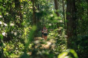 BIB: 
                            <button type="button" onclick="openModal(26626418)" class="btn btn-primary btn-sm float-right btn-popup" data-toggle="modal" data-target=".modal-high-quality">
                        <i class="fas fa-shopping-cart"></i> Add to Cart
                    </button>
                                            <button type="button" onclick="isThisMe(26626418, true)" class="btn btn-success btn-sm float-right btn-popup btn-isme hidden" data-toggle="tooltip" data-placement="bottom" title="นี่คือรูปของคุณใช่ไหม คลิกที่นี่เพื่อเอาเข้าอัลบั้ม">
                        <i class="fas fa-plus"></i> Add to album
                    </button>
                    <button type="button" onclick="isThisMe(26626418, false)" class="btn btn-warning btn-sm float-right btn-popup btn-isnotme hidden">
                        <i class="fas fa-ban"></i> Remove from album
                    </button>