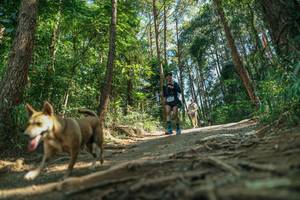 BIB: 
                            <button type="button" onclick="openModal(26625083)" class="btn btn-primary btn-sm float-right btn-popup" data-toggle="modal" data-target=".modal-high-quality">
                        <i class="fas fa-shopping-cart"></i> Add to Cart
                    </button>
                                            <button type="button" onclick="isThisMe(26625083, true)" class="btn btn-success btn-sm float-right btn-popup btn-isme hidden" data-toggle="tooltip" data-placement="bottom" title="นี่คือรูปของคุณใช่ไหม คลิกที่นี่เพื่อเอาเข้าอัลบั้ม">
                        <i class="fas fa-plus"></i> Add to album
                    </button>
                    <button type="button" onclick="isThisMe(26625083, false)" class="btn btn-warning btn-sm float-right btn-popup btn-isnotme hidden">
                        <i class="fas fa-ban"></i> Remove from album
                    </button>