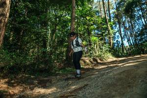 BIB: 
                            <button type="button" onclick="openModal(26625416)" class="btn btn-primary btn-sm float-right btn-popup" data-toggle="modal" data-target=".modal-high-quality">
                        <i class="fas fa-shopping-cart"></i> Add to Cart
                    </button>
                                            <button type="button" onclick="isThisMe(26625416, true)" class="btn btn-success btn-sm float-right btn-popup btn-isme hidden" data-toggle="tooltip" data-placement="bottom" title="นี่คือรูปของคุณใช่ไหม คลิกที่นี่เพื่อเอาเข้าอัลบั้ม">
                        <i class="fas fa-plus"></i> Add to album
                    </button>
                    <button type="button" onclick="isThisMe(26625416, false)" class="btn btn-warning btn-sm float-right btn-popup btn-isnotme hidden">
                        <i class="fas fa-ban"></i> Remove from album
                    </button>