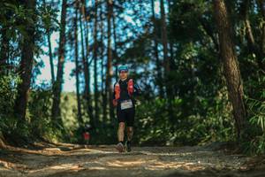 BIB: 
                            <button type="button" onclick="openModal(26628566)" class="btn btn-primary btn-sm float-right btn-popup" data-toggle="modal" data-target=".modal-high-quality">
                        <i class="fas fa-shopping-cart"></i> Add to Cart
                    </button>
                                            <button type="button" onclick="isThisMe(26628566, true)" class="btn btn-success btn-sm float-right btn-popup btn-isme hidden" data-toggle="tooltip" data-placement="bottom" title="นี่คือรูปของคุณใช่ไหม คลิกที่นี่เพื่อเอาเข้าอัลบั้ม">
                        <i class="fas fa-plus"></i> Add to album
                    </button>
                    <button type="button" onclick="isThisMe(26628566, false)" class="btn btn-warning btn-sm float-right btn-popup btn-isnotme hidden">
                        <i class="fas fa-ban"></i> Remove from album
                    </button>