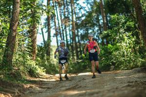 BIB: 
                            <button type="button" onclick="openModal(26625597)" class="btn btn-primary btn-sm float-right btn-popup" data-toggle="modal" data-target=".modal-high-quality">
                        <i class="fas fa-shopping-cart"></i> Add to Cart
                    </button>
                                            <button type="button" onclick="isThisMe(26625597, true)" class="btn btn-success btn-sm float-right btn-popup btn-isme hidden" data-toggle="tooltip" data-placement="bottom" title="นี่คือรูปของคุณใช่ไหม คลิกที่นี่เพื่อเอาเข้าอัลบั้ม">
                        <i class="fas fa-plus"></i> Add to album
                    </button>
                    <button type="button" onclick="isThisMe(26625597, false)" class="btn btn-warning btn-sm float-right btn-popup btn-isnotme hidden">
                        <i class="fas fa-ban"></i> Remove from album
                    </button>