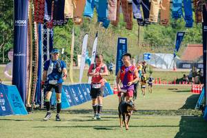 BIB: 
                            <button type="button" onclick="openModal(26629227)" class="btn btn-primary btn-sm float-right btn-popup" data-toggle="modal" data-target=".modal-high-quality">
                        <i class="fas fa-shopping-cart"></i> Add to Cart
                    </button>
                                            <button type="button" onclick="isThisMe(26629227, true)" class="btn btn-success btn-sm float-right btn-popup btn-isme hidden" data-toggle="tooltip" data-placement="bottom" title="นี่คือรูปของคุณใช่ไหม คลิกที่นี่เพื่อเอาเข้าอัลบั้ม">
                        <i class="fas fa-plus"></i> Add to album
                    </button>
                    <button type="button" onclick="isThisMe(26629227, false)" class="btn btn-warning btn-sm float-right btn-popup btn-isnotme hidden">
                        <i class="fas fa-ban"></i> Remove from album
                    </button>