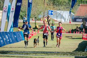 BIB: 
                            <button type="button" onclick="openModal(26629150)" class="btn btn-primary btn-sm float-right btn-popup" data-toggle="modal" data-target=".modal-high-quality">
                        <i class="fas fa-shopping-cart"></i> Add to Cart
                    </button>
                                            <button type="button" onclick="isThisMe(26629150, true)" class="btn btn-success btn-sm float-right btn-popup btn-isme hidden" data-toggle="tooltip" data-placement="bottom" title="นี่คือรูปของคุณใช่ไหม คลิกที่นี่เพื่อเอาเข้าอัลบั้ม">
                        <i class="fas fa-plus"></i> Add to album
                    </button>
                    <button type="button" onclick="isThisMe(26629150, false)" class="btn btn-warning btn-sm float-right btn-popup btn-isnotme hidden">
                        <i class="fas fa-ban"></i> Remove from album
                    </button>